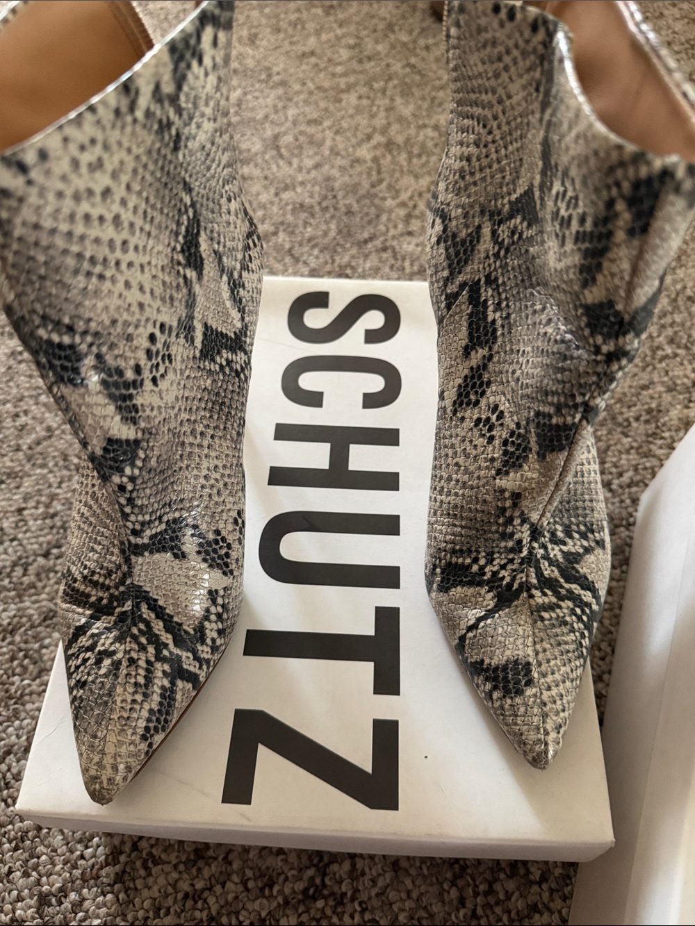 SCHUTZ Snake-Print Pointed Toe Boots in Gray and Black